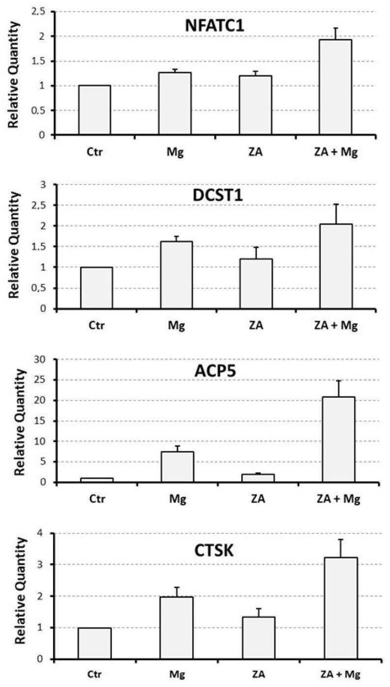 https://cdn.ncbi.nlm.nih.gov/pmc/blobs/f6a8/10604702/a694f3928d90/biology-12-01297-g003.jpg