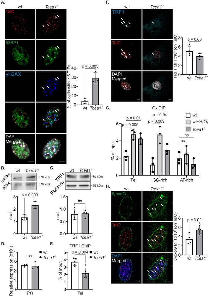 https://cdn.ncbi.nlm.nih.gov/pmc/blobs/f6a9/11094137/e24f3788417f/41467_2024_48443_Fig4_HTML.jpg