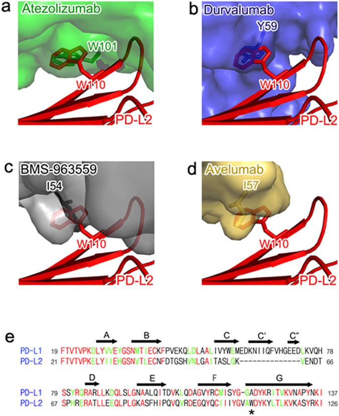 https://cdn.ncbi.nlm.nih.gov/pmc/blobs/f6aa/5514103/291b5b601881/41598_2017_6002_Fig6_HTML.jpg