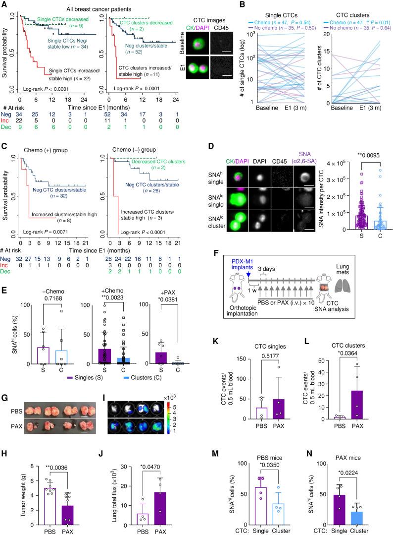 https://cdn.ncbi.nlm.nih.gov/pmc/blobs/f6ab/10481132/66eb74da9ece/2050fig1.jpg