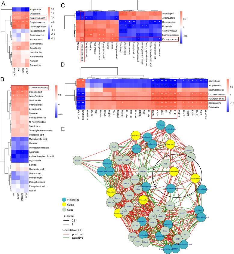 https://cdn.ncbi.nlm.nih.gov/pmc/blobs/f6ab/11834432/8f7f4eed3837/msystems.01136-24.f004.jpg