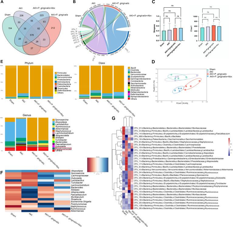 https://cdn.ncbi.nlm.nih.gov/pmc/blobs/f6ab/11834432/958716f1fef7/msystems.01136-24.f002.jpg