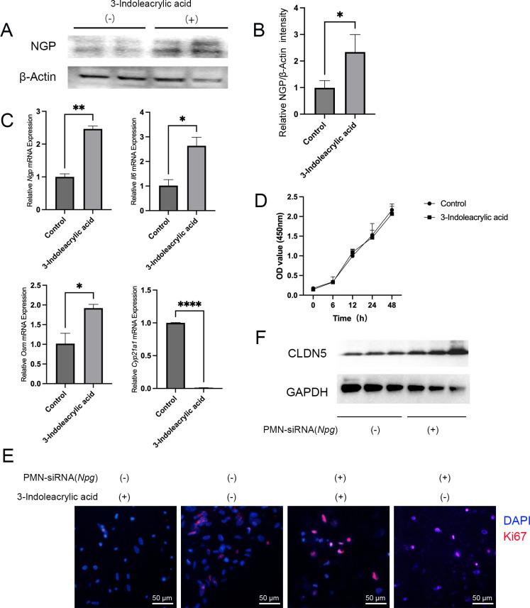 https://cdn.ncbi.nlm.nih.gov/pmc/blobs/f6ab/11834432/9856c37be5b3/msystems.01136-24.f005.jpg