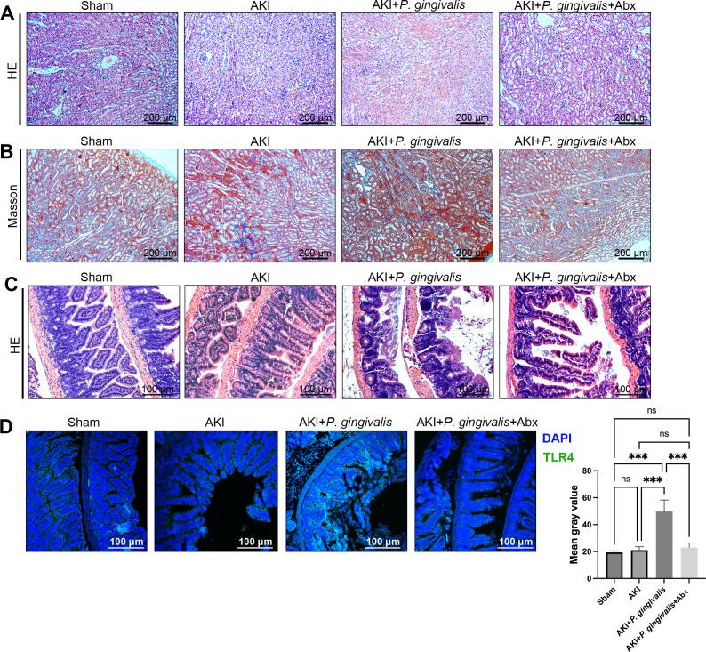 https://cdn.ncbi.nlm.nih.gov/pmc/blobs/f6ab/11834432/f9cdd7ea5d1b/msystems.01136-24.f001.jpg
