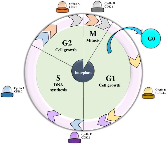 https://cdn.ncbi.nlm.nih.gov/pmc/blobs/f6ac/7528506/a90fc04c0b23/12575_2020_133_Fig3_HTML.jpg
