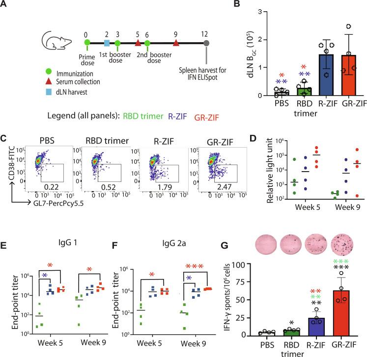 https://cdn.ncbi.nlm.nih.gov/pmc/blobs/f6ad/10917347/d6740fa2cfee/sciadv.adj6380-f5.jpg