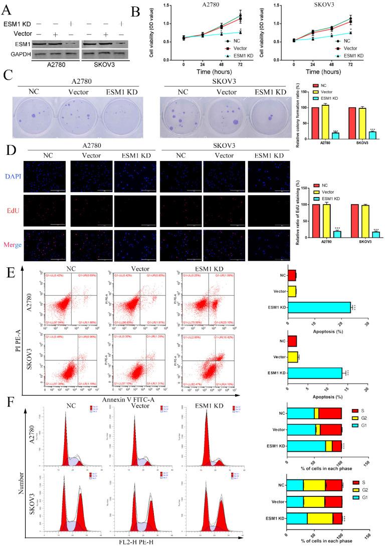 https://cdn.ncbi.nlm.nih.gov/pmc/blobs/f6ad/9760436/265d70e5fa20/ijbsv19p0258g006.jpg