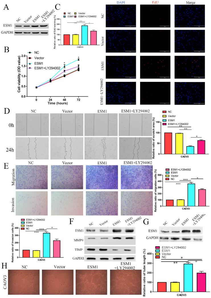 https://cdn.ncbi.nlm.nih.gov/pmc/blobs/f6ad/9760436/5f2dceed3596/ijbsv19p0258g011.jpg