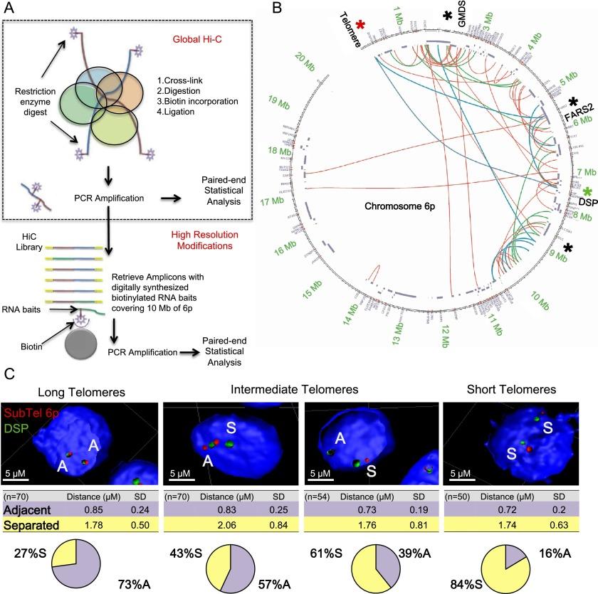 https://cdn.ncbi.nlm.nih.gov/pmc/blobs/f6ae/4233240/d4efde864a37/2464fig2.jpg