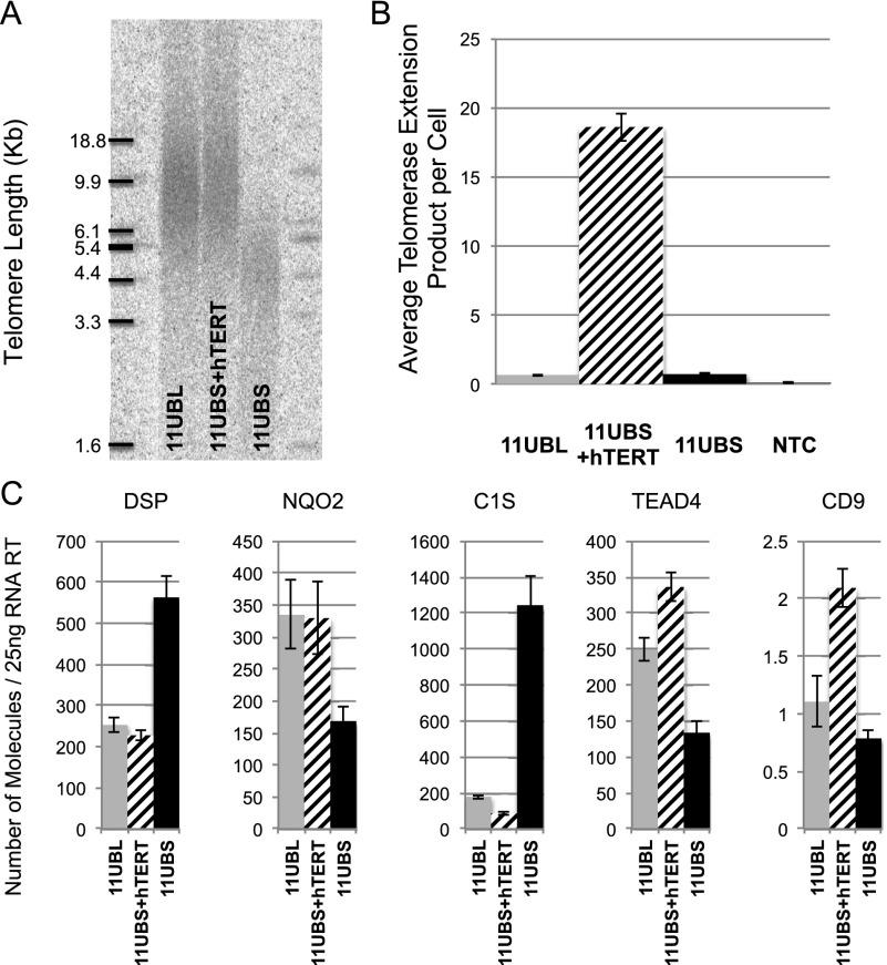 https://cdn.ncbi.nlm.nih.gov/pmc/blobs/f6ae/4233240/fe8d232ca288/2464fig6.jpg