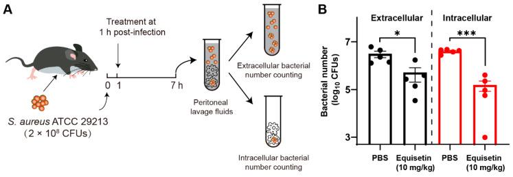 https://cdn.ncbi.nlm.nih.gov/pmc/blobs/f6af/9694014/f2ce153f6e36/marinedrugs-20-00656-g004.jpg