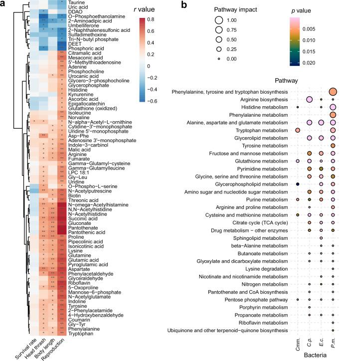 https://cdn.ncbi.nlm.nih.gov/pmc/blobs/f6b0/12332001/e0371504c737/41467_2025_62595_Fig3_HTML.jpg