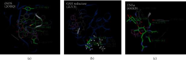 https://cdn.ncbi.nlm.nih.gov/pmc/blobs/f6b0/7482022/35f2de2f2ce9/BMRI2020-3807234.008.jpg