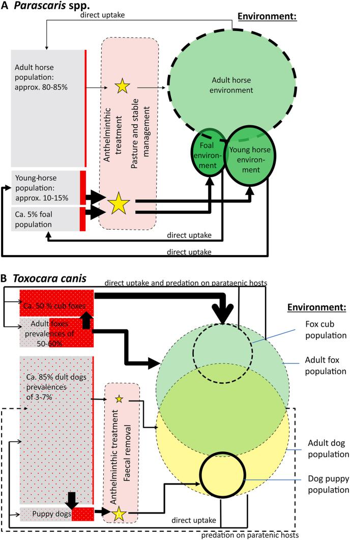 https://cdn.ncbi.nlm.nih.gov/pmc/blobs/f6b4/8347694/d06dcfc4753a/gr1.jpg
