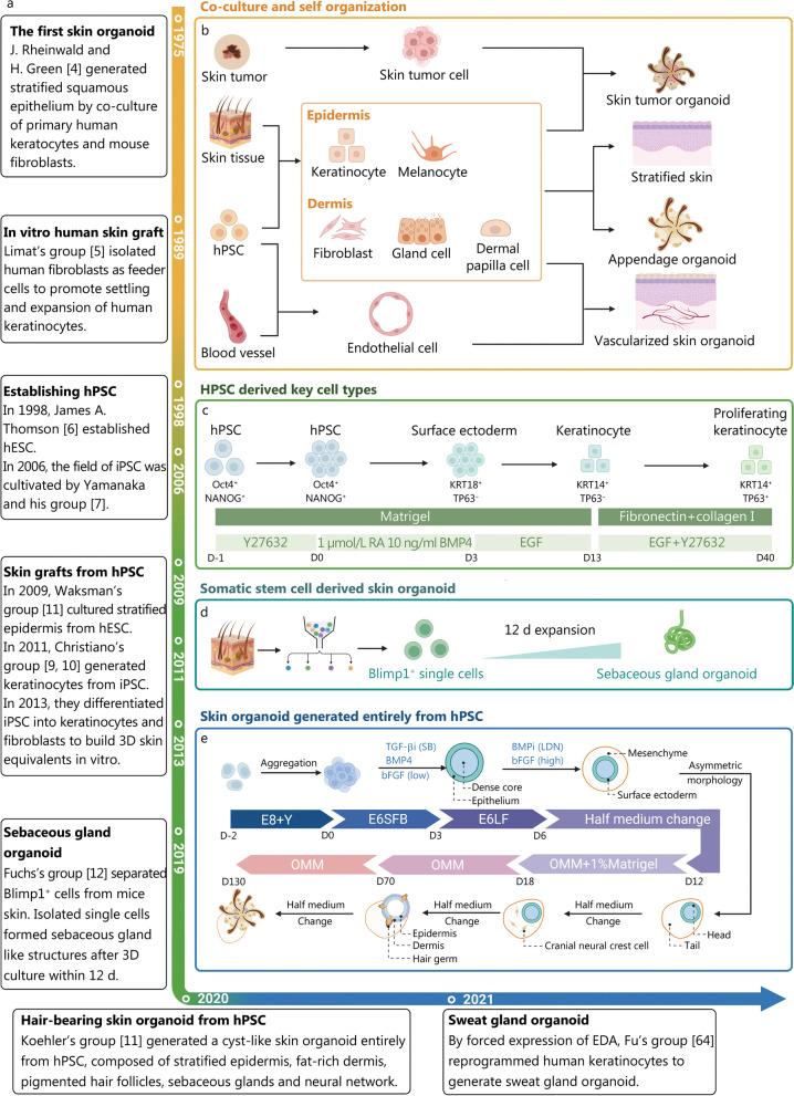 https://cdn.ncbi.nlm.nih.gov/pmc/blobs/f6b5/10463602/f45f3607f36b/40779_2023_475_Fig1_HTML.jpg