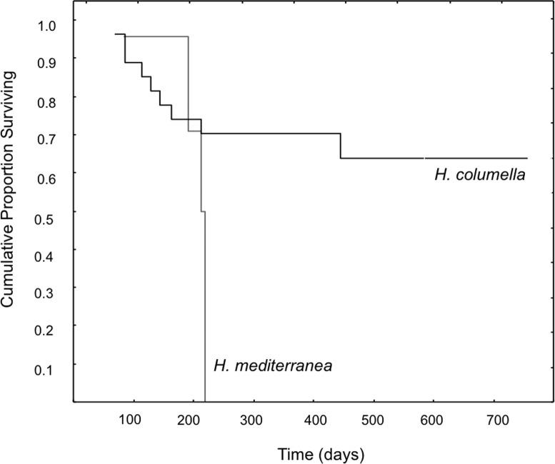 https://cdn.ncbi.nlm.nih.gov/pmc/blobs/f6b5/5493970/9981bdb9bc64/peerj-05-3490-g003.jpg