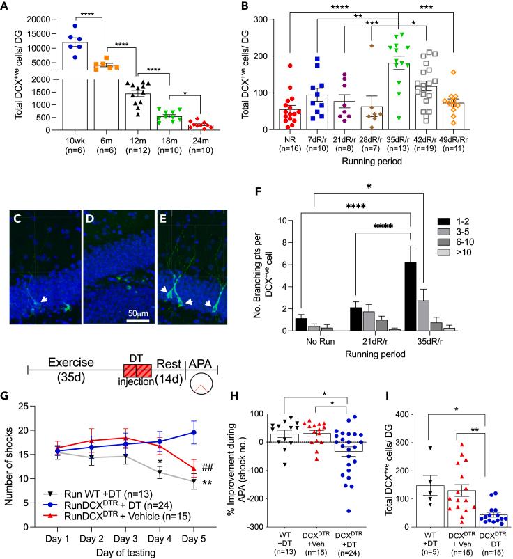 https://cdn.ncbi.nlm.nih.gov/pmc/blobs/f6b5/8567379/ee8bace829d3/gr3.jpg