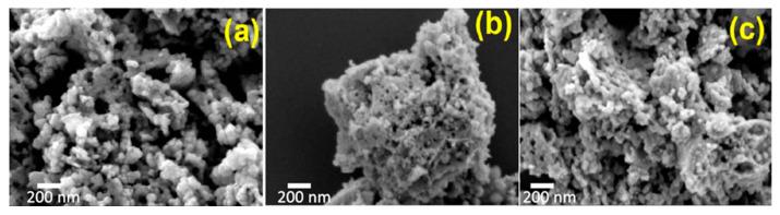 https://cdn.ncbi.nlm.nih.gov/pmc/blobs/f6b8/10343784/37f6de6b922c/nanomaterials-13-01902-g012.jpg