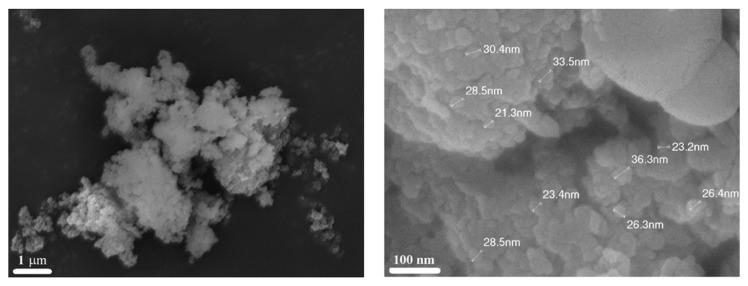 https://cdn.ncbi.nlm.nih.gov/pmc/blobs/f6b8/10343784/8c4d357c53f8/nanomaterials-13-01902-g015.jpg