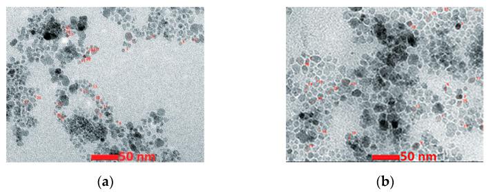 https://cdn.ncbi.nlm.nih.gov/pmc/blobs/f6b8/10343784/d26915bbef1d/nanomaterials-13-01902-g006.jpg