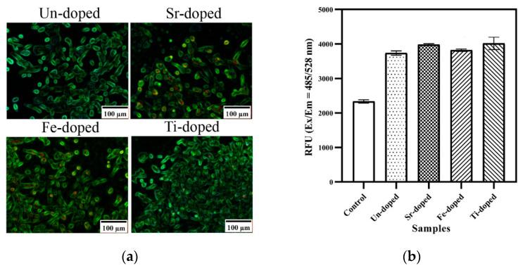 https://cdn.ncbi.nlm.nih.gov/pmc/blobs/f6b8/10343784/d2bbb7cc6fdb/nanomaterials-13-01902-g017.jpg