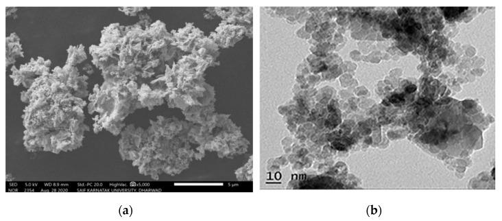 https://cdn.ncbi.nlm.nih.gov/pmc/blobs/f6b8/10343784/fd711c2eec4d/nanomaterials-13-01902-g008.jpg