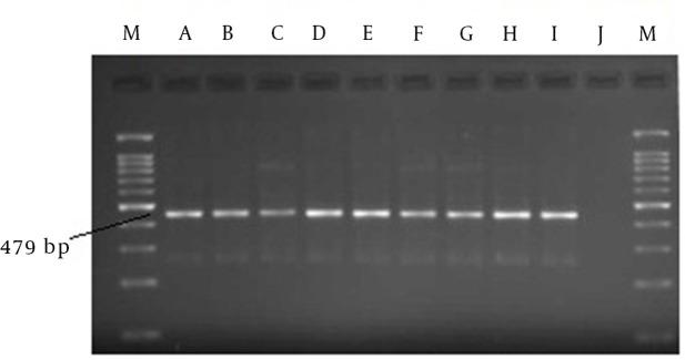 https://cdn.ncbi.nlm.nih.gov/pmc/blobs/f6bd/4834196/ca06e8265ccf/hepatmon-16-01-32971-g001.jpg