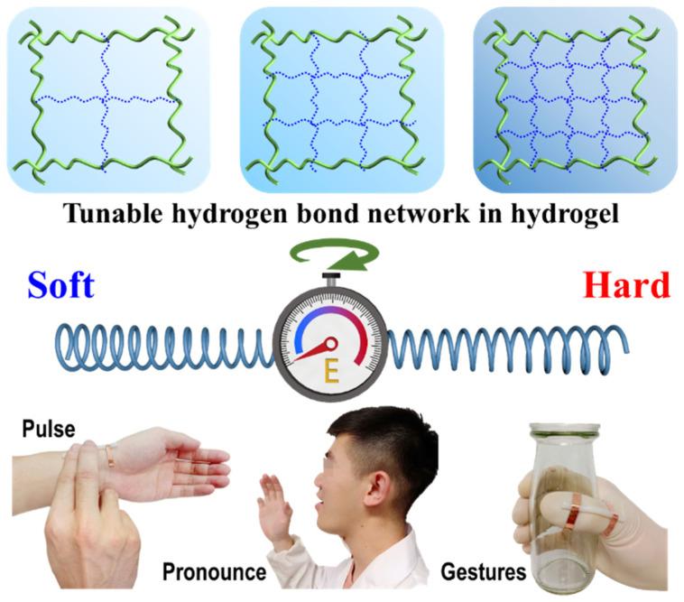 https://cdn.ncbi.nlm.nih.gov/pmc/blobs/f6bf/12293851/3f1d3adec8df/biosensors-15-00412-g001.jpg
