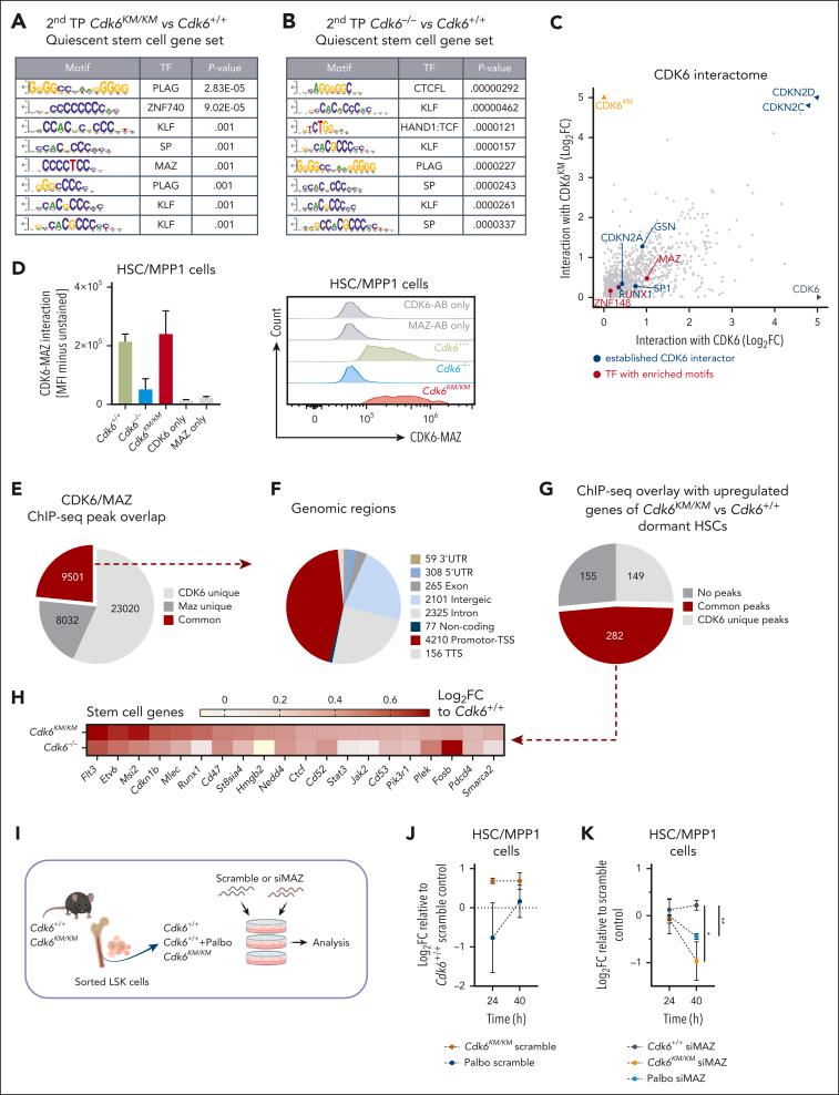 https://cdn.ncbi.nlm.nih.gov/pmc/blobs/f6c0/11302456/208f7199ce4d/BLOOD_BLD-2023-021985-gr5.jpg