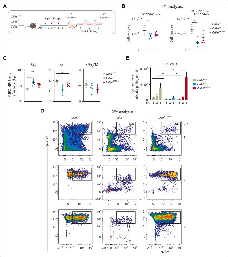 https://cdn.ncbi.nlm.nih.gov/pmc/blobs/f6c0/11302456/2b25c1364d41/BLOOD_BLD-2023-021985-gr2.jpg