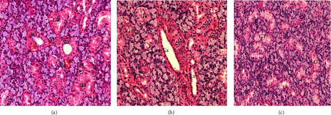 https://cdn.ncbi.nlm.nih.gov/pmc/blobs/f6c3/10781530/96cdc00cfa0d/IJD2024-3290187.002.jpg