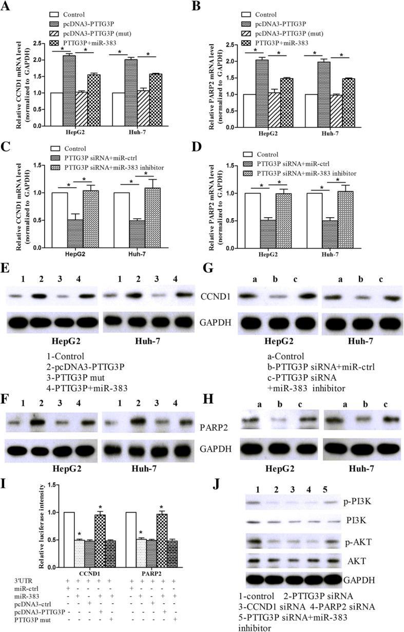 https://cdn.ncbi.nlm.nih.gov/pmc/blobs/f6c5/6657059/cf1787f41b13/12885_2019_5936_Fig6_HTML.jpg