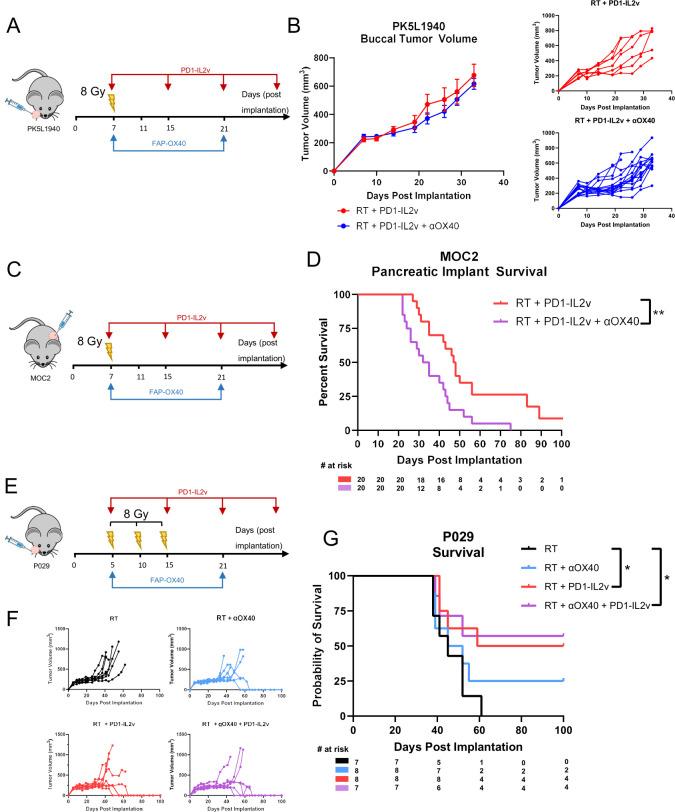 https://cdn.ncbi.nlm.nih.gov/pmc/blobs/f6c7/11749720/7c10271c5ab4/jitc-13-1-g003.jpg