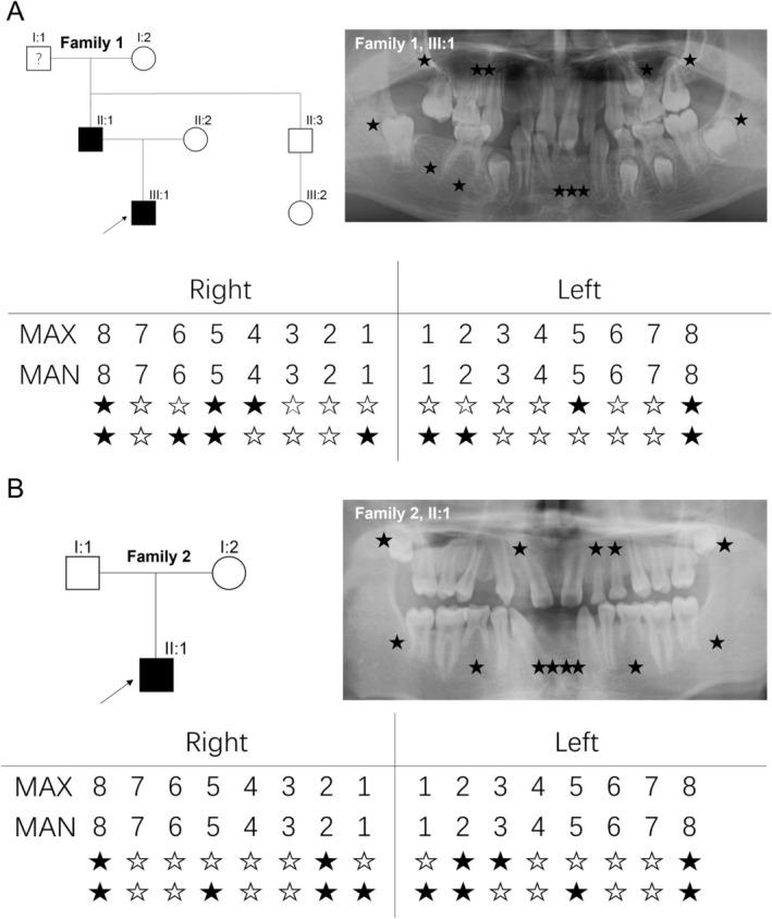 https://cdn.ncbi.nlm.nih.gov/pmc/blobs/f6c7/12035762/256e6b11fbbe/MGG3-13-e70101-g005.jpg