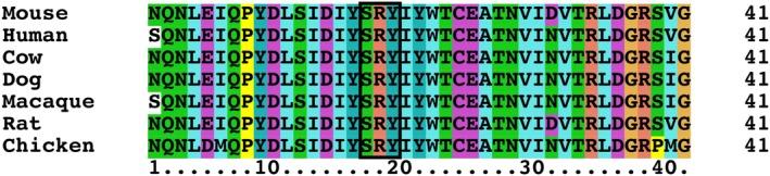 https://cdn.ncbi.nlm.nih.gov/pmc/blobs/f6c7/12035762/b2723ef59d50/MGG3-13-e70101-g003.jpg