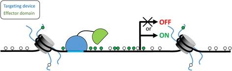 https://cdn.ncbi.nlm.nih.gov/pmc/blobs/f6c8/4347971/cdd76105a61c/13148_2015_44_Fig1_HTML.jpg