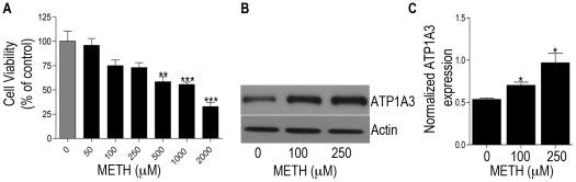 https://cdn.ncbi.nlm.nih.gov/pmc/blobs/f6ca/3360751/fb5412ba7622/pone.0037604.g001.jpg