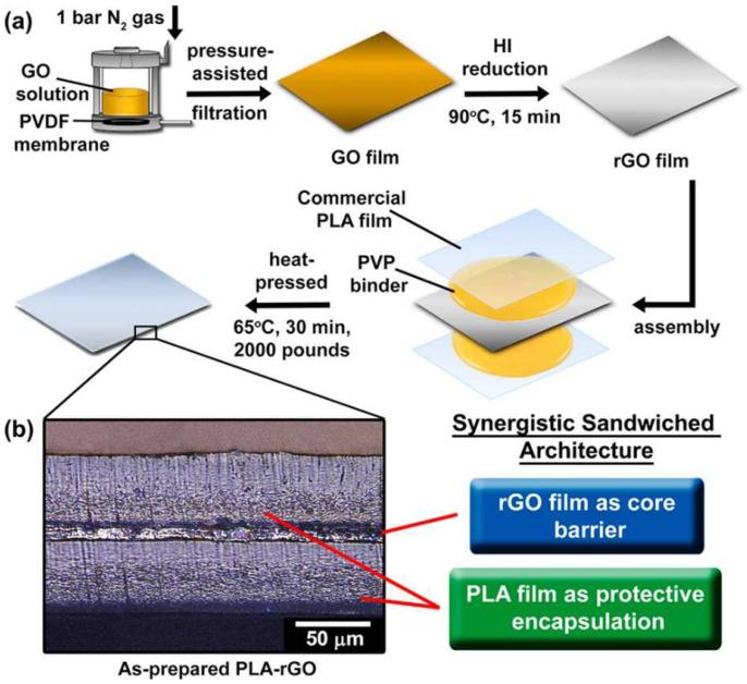 https://cdn.ncbi.nlm.nih.gov/pmc/blobs/f6cb/10296147/bc4b76023426/biosensors-13-00579-g002.jpg