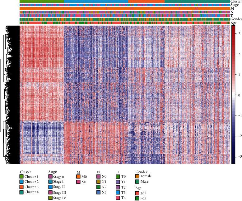 https://cdn.ncbi.nlm.nih.gov/pmc/blobs/f6cd/9436567/fa5e211ddb3d/CMMM2022-4261329.003.jpg