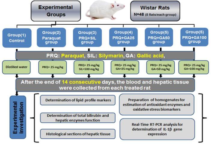 https://cdn.ncbi.nlm.nih.gov/pmc/blobs/f6ce/8588956/845b9f9f3bae/AJP-11-633-g001.jpg