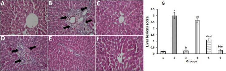 https://cdn.ncbi.nlm.nih.gov/pmc/blobs/f6ce/8588956/a3fe9d19f76d/AJP-11-633-g003.jpg