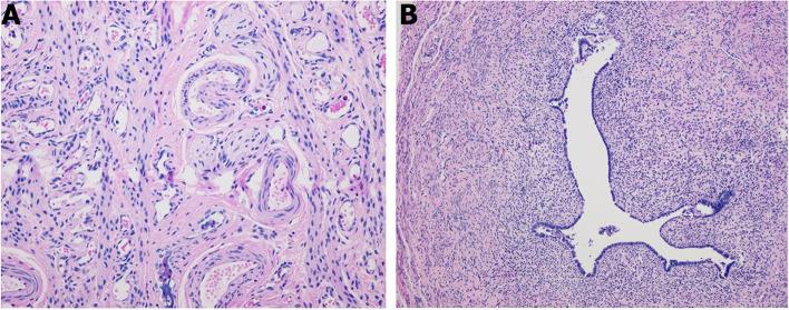 https://cdn.ncbi.nlm.nih.gov/pmc/blobs/f6ce/9985243/c924904a29a9/12887_2023_3872_Fig1_HTML.jpg