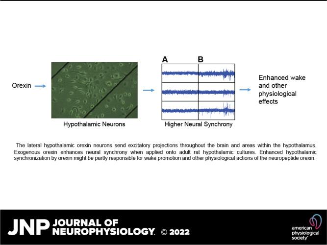 https://cdn.ncbi.nlm.nih.gov/pmc/blobs/f6cf/9054260/5ef8657d54e2/jn-00041-2022r01.jpg