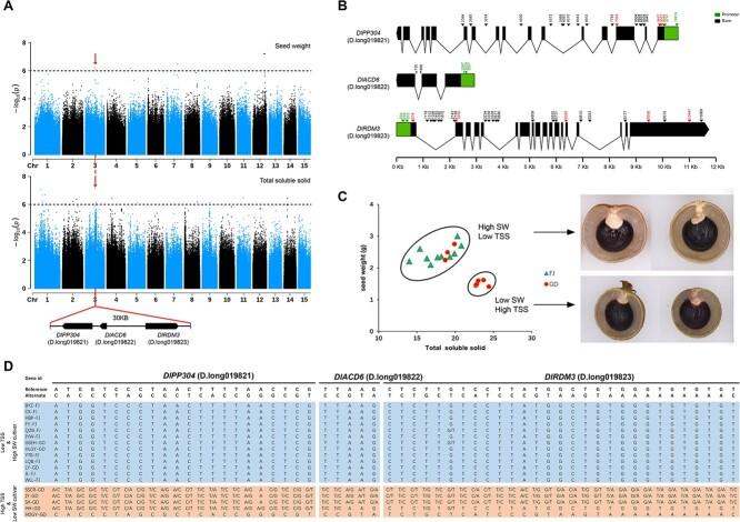 https://cdn.ncbi.nlm.nih.gov/pmc/blobs/f6cf/9071379/b44fb70db358/uhac021f4.jpg