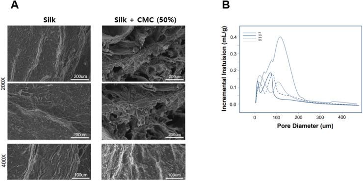 https://cdn.ncbi.nlm.nih.gov/pmc/blobs/f6d0/11625154/c2bf89e93c17/gr2.jpg
