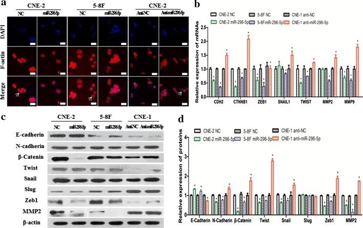 https://cdn.ncbi.nlm.nih.gov/pmc/blobs/f6d1/7640465/263e59bf91a7/11658_2020_240_Fig3_HTML.jpg