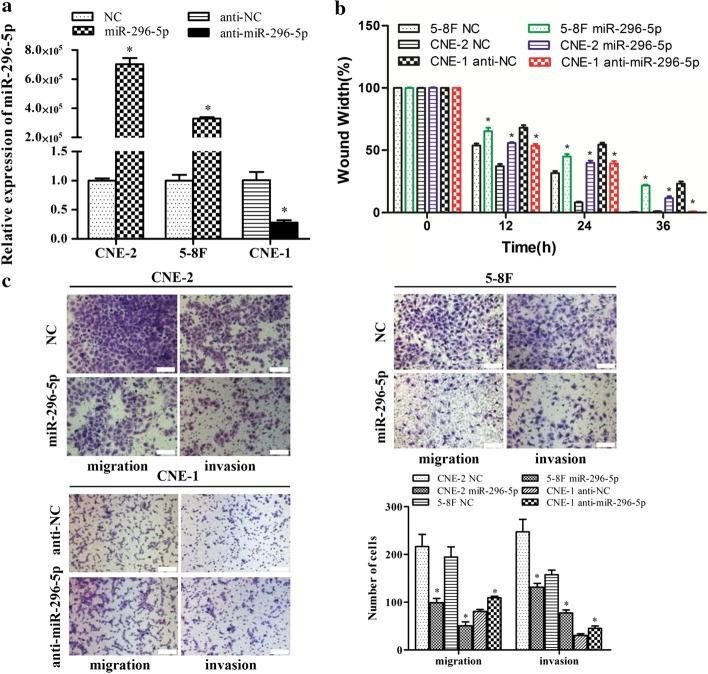 https://cdn.ncbi.nlm.nih.gov/pmc/blobs/f6d1/7640465/5b1aa857fb23/11658_2020_240_Fig2_HTML.jpg