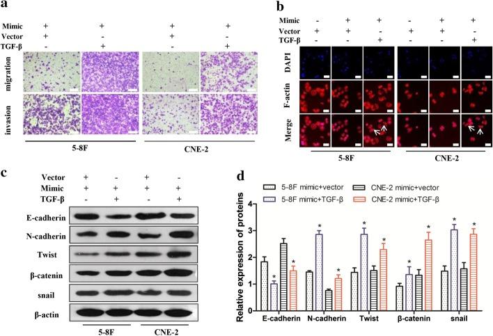 https://cdn.ncbi.nlm.nih.gov/pmc/blobs/f6d1/7640465/f2b5d8d597e4/11658_2020_240_Fig5_HTML.jpg