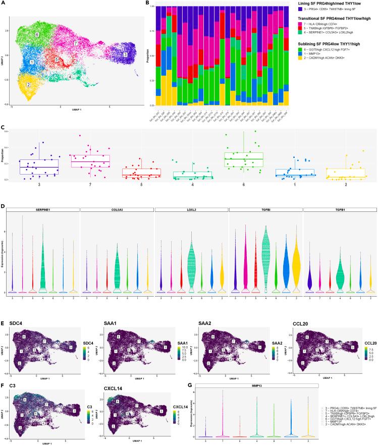 https://cdn.ncbi.nlm.nih.gov/pmc/blobs/f6d8/11144743/1d6ee2674f21/gr5.jpg