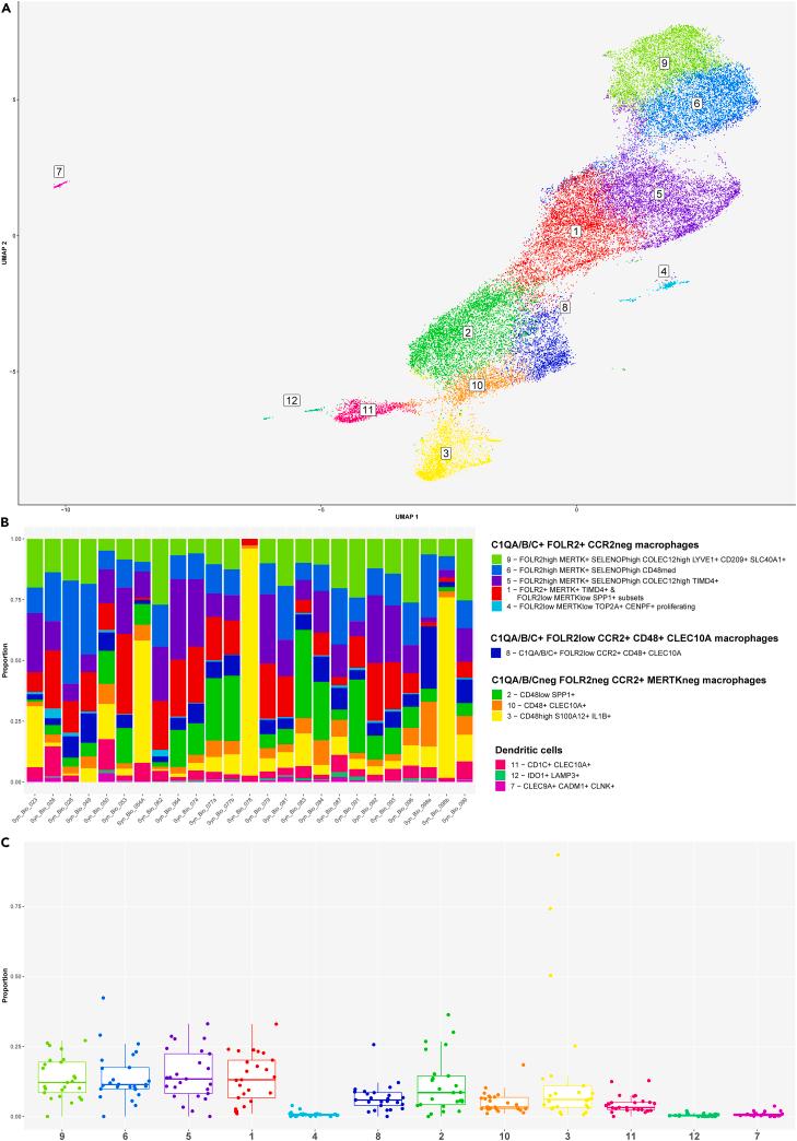 https://cdn.ncbi.nlm.nih.gov/pmc/blobs/f6d8/11144743/4cb270c00806/gr6.jpg